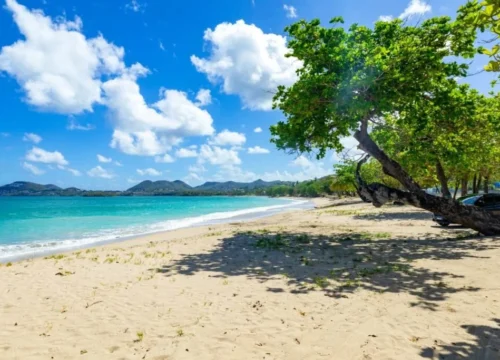 Discover the Real Jamaica: 7 Unforgettable Experiences Every Traveler Should Try