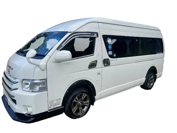 Mini Van